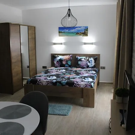 студио в комплекс нестинарка Apartament Carewo