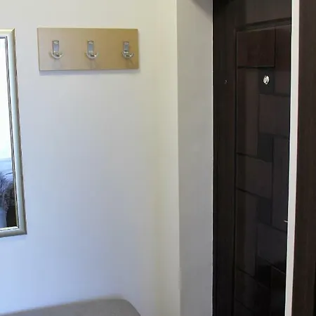 студио в комплекс нестинарка *