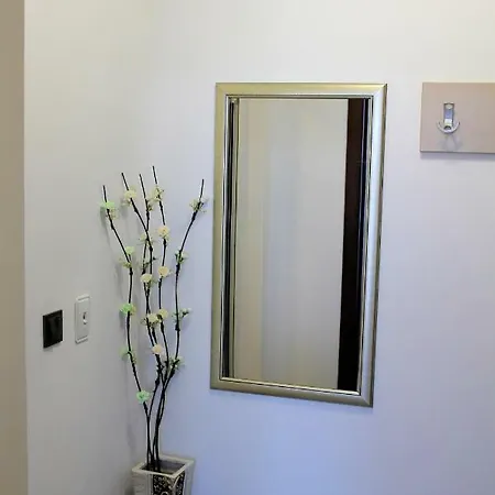 студио в комплекс нестинарка Apartment *