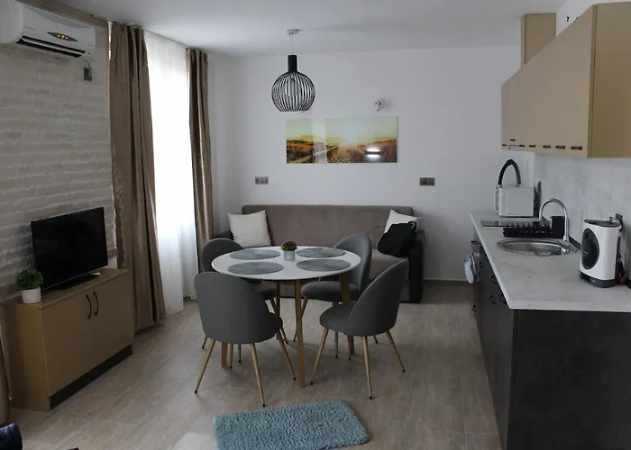 студио в комплекс нестинарка *