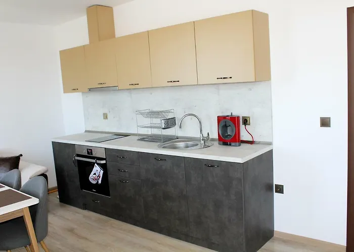 студио в комплекс нестинарка Apartment