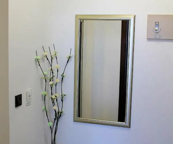 студио в комплекс нестинарка Apartment *